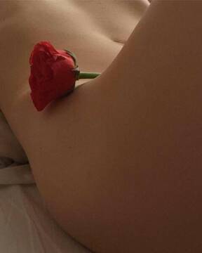 non c'è rosa senza spine.