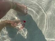 Amateur Video of SweetFeet38