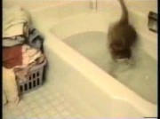 Video amatoriale di riv_model_test